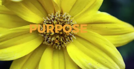 Purpose