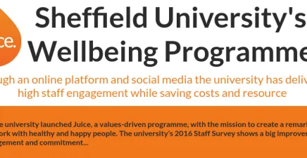 Words introducing Sheffield University's wellbeing programme
