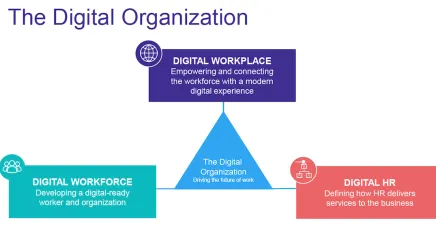 The digital organisation